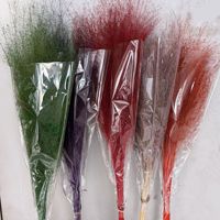 Broom Bloom Gedroogde Bloemen, Gedroogde Bloemenvulling voor Boho Bruiloft Boog, Tafeldecoratie, Bruidsboeket, Evenement Styling Decoratie