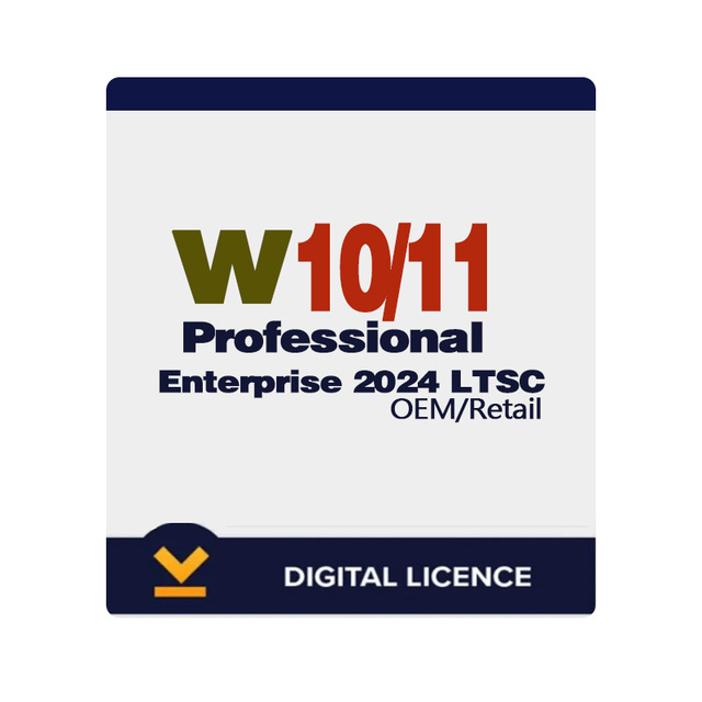 W11 Enterprise 2024 LTSC Lifetime