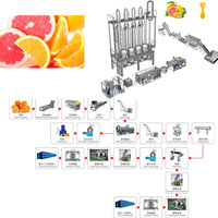 Fabricant professionnel de machine à jus d'agrumes industrielle multifonctionnelle entièrement automatique 1500 kg/h