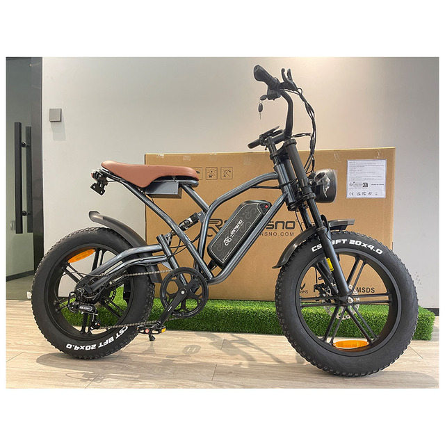 Classical Private Design E Bike Electric Bicycle with Dis Break Electric Bike Electric Cycle Bike