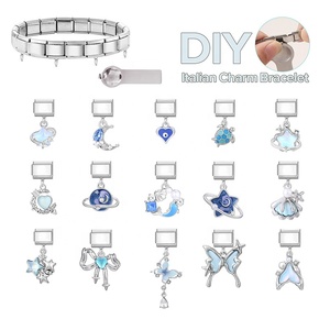 สร้อยข้อมือสแตนเลสแบบโมดูลาร์พร้อมจี้เคลือบไฟฟ้าอเนกประสงค์สไตล์ DIY (สวยงาม) ปรับแต่งได้จากกวางตุ้ง - Product Image 5