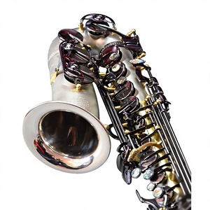 <span class=keywords><strong>Sassofono</strong></span> Contralto Professionale in Eb, Nichelato, Laccato Oro, Strumento a Fiato con Custodia Rigida e Bocchino - Product Image 3