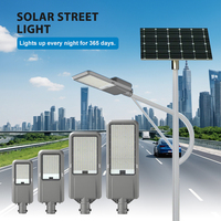 La mejor venta Ip65 Control remoto a prueba de agua 50W 100W 150W 200W 250W 300W 400W Smd Aluminio fundido a presión Led Farola solar