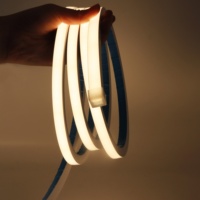Bande LED TRX, usine, DC12V 24V, blanc, RGB, bande LED flexible, lumière de plafond intérieure, lumière de bande LED néon imperméable pour extérieur