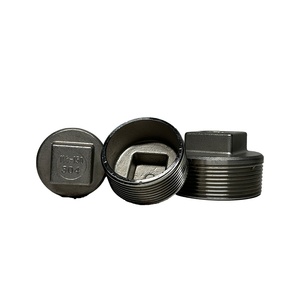 304 316 thép không gỉ phụ kiện đường ống 1/4 3/8 1/2 1 inch NPT bspt nam ren <span class=keywords><strong>Hex</strong></span> đầu ống cắm - Product Image 1