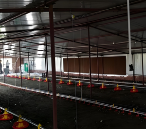 Das landwirtschaft liche Gewächshaus kühlsystem enthält einen Gewächshaus-Abluft ventilator und ein wasser gekühltes <span class=keywords><strong>Pad</strong></span>-Wand-Verdunstung skühl kissen - Product Image 4