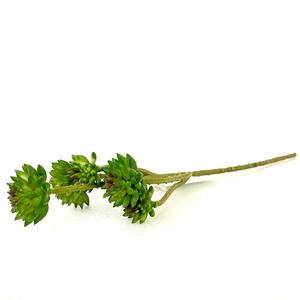 <span class=keywords><strong>Aeonium</strong></span> Silk 6หัวเจอเรเนียม, ไมโครแลนด์ดอกไม้ประดิษฐ์พืชสีเขียวเป็นมิตรกับสิ่งแวดล้อมทนทานคริสต์มาสตั้งโต๊ะ - Product Image 6