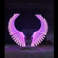 Senzhao menerima disesuaikan IP65 tahan air Modern Angel Wings LED Motif cahaya