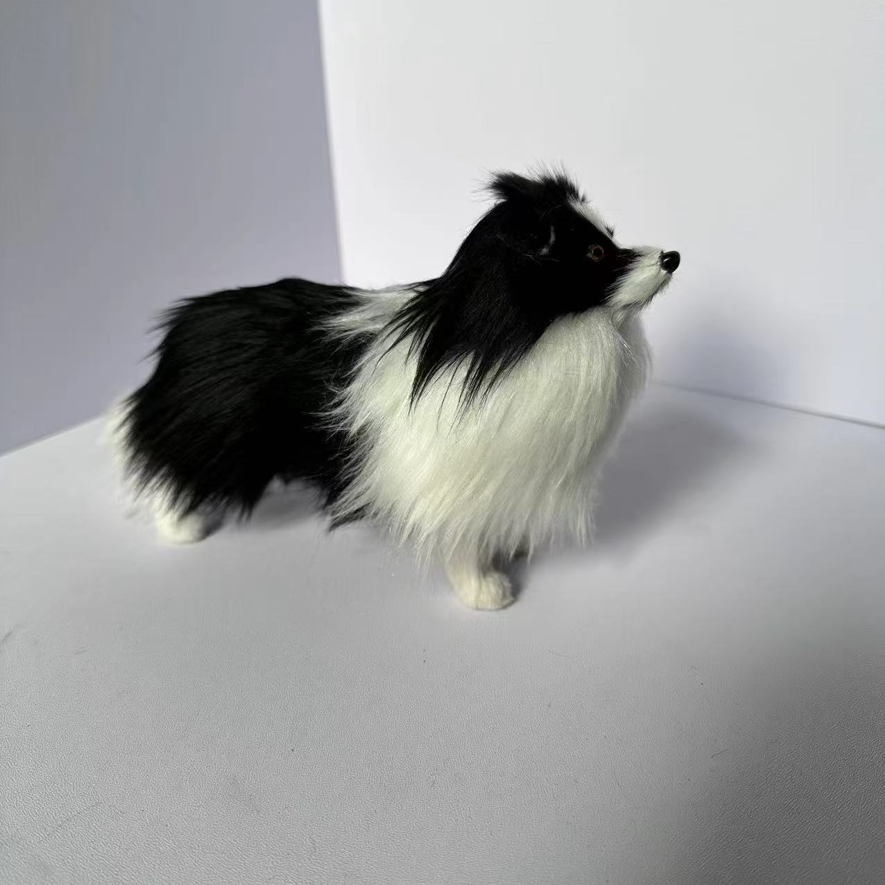Collie negro