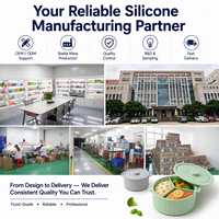 Couvercle de cuisson vapeur en silicone de qualité alimentaire, écologique, à double couche et compartimentée, pour une préparation de repas saine