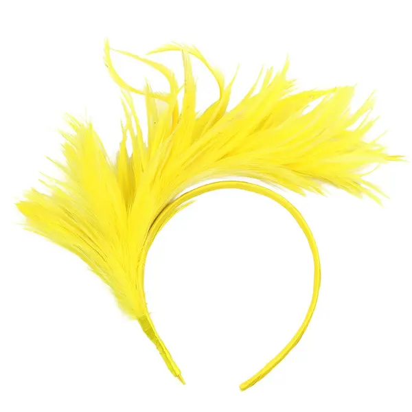 Accessoires de cheveux de fête de carnaval pour femmes, bandeau de plumes colorées Vintage THU-077