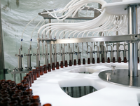 Machine de remplissage automatique à grande vitesse à 16 têtes pour flacons et bouteilles en verre