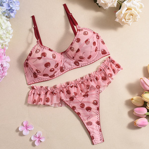 Printed Lingerie Set With Mesh See Through Print Lace Decoration Sexy Temptation Thong Sexy Lingerie Two-Piece Set for Women - Product Image 5