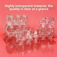 Barquette transparente jetable en PET BOHE pour œufs, format allongé, qualité alimentaire, lot de 10