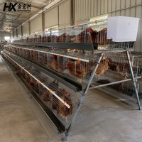 Cage à poules pondeuses de type 5000, 4 niveaux, 128 œufs, équipement avicole pour l'élevage de poulets en ferme