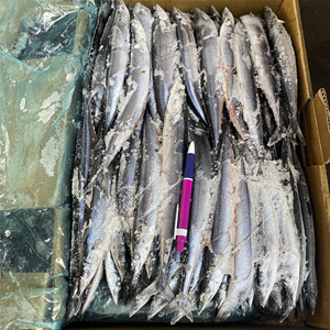 Saury Congelado Comercial # 1~ # 5 Certificados ISO HACCP HALAL, Empaque a Granel <span class=keywords><strong>de</strong></span> 10 kg/caja, Flota Propia <span class=keywords><strong>de</strong></span> Transporte Marítimo, Suministro Directo para Catering - Product Image 4