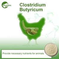 Fabricant chinois, usine d'origine, complément alimentaire de santé, acide butyrique, vitamine, Clostridium butyricum