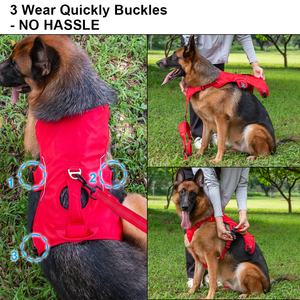 Stock 2024 Hot Sale OEM/ODM Scape Proof Hunde geschirr für kleine mittelgroße Hunde Walking Hiking Training - Product Image 2