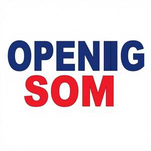 Banderas Personalizadas de Fibra de Poliéster en Varios Tamaños, Color Azul y Rojo, Resistentes a la Intemperie, Protección UV, para Exteriores, Negocios, Patios Industriales - Product Image 2