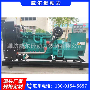 Groupe électrogène diesel Weichai 150 kW 400 V 50 Hz pour travaux d'ingénierie et aquaculture - Product Image 4