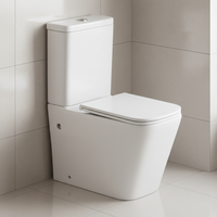 WC moderne de haute qualité avec siphon en P, ensemble de toilettes deux pièces à poser au sol pour hôtel