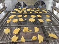 Originele Voedseldehydrator Banaan Droogmachine voor Fruit Dehydratatie 304 Roestvrijstalen Lade Droger 220/380V