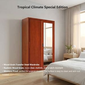 Armario Metálico <span class=keywords><strong>de</strong></span> Dos Puertas Corredizas con Espejo, Diseño Personalizado para Dormitorio, Color Madera, Impreso, <span class=keywords><strong>de</strong></span> Alta Calidad Premium - Product Image 1