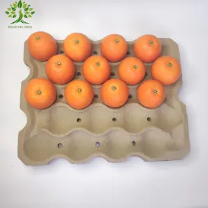 Plateaux moulés par pulpe de papier de plateau de fruit de 20 trous pour l'emballage de plateau de pulpe de fruit