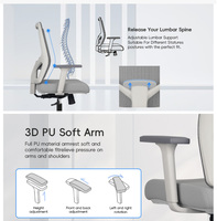 Chaise de bureau ergonomique en maille grise pour visiteurs et personnel, avec support lombaire mi-dossier, du fabricant