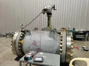 Actuador de Válvula Eléctrico Rotork Serie IQ con Válvula Reguladora de Presión Terrence Personalizada para Válvula de Control Eléctrico Rotork - Product Image 5