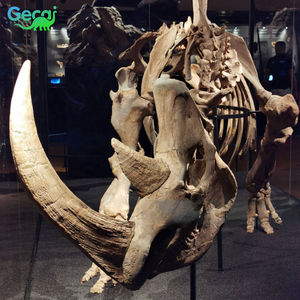 Museo Gecai calidad mamut Artificial fósiles huesos resina mamut cráneo <span class=keywords><strong>esqueleto</strong></span> animal escultura para la venta - Product Image 4