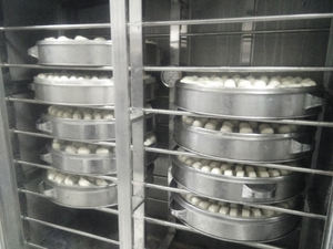 Mini rollo manual de alimentos para Fideos eléctricos, estante giratorio de doble puerta, a prueba de masa de rosquillas, 64 bandejas, kaifeng - Product Image 2