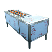 Industriële groente- en viswasmachine, schilmachine, wortelgroente- en fruitverwerkingsapparatuur, aardappelwasmachine, motor 304