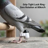 Traceur GPS hors ligne Soaring Hawk Logger sans abonnement pour la fauconnerie, la chasse et la mémorisation des itinéraires