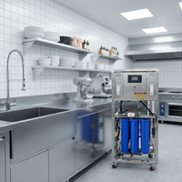 Système de filtration d'eau par osmose inverse de type ouvert sans réservoir 250l à commande intelligente pour applications commerciales RO