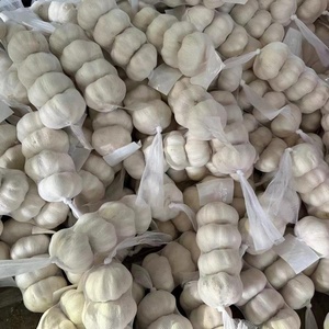 <span class=keywords><strong>Ail</strong></span> frais biologique standard, petits paquets de 3/5 pièces, tressé, pour les chaînes de distribution au détail - Product Image 3
