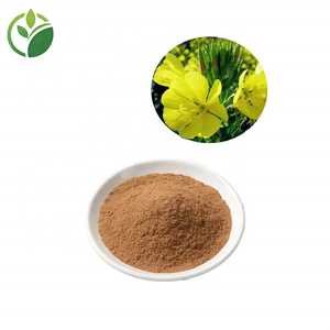 Extrait d'<span class=keywords><strong>Onagre</strong></span> en Gros 10:1 20:1 Extrait Végétal Poudre d'Extrait d'<span class=keywords><strong>Onagre</strong></span> - Product Image 2
