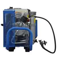 Compresseur d'air à essence Ayon 200-300 bars pour la plongée sous-marine et la lutte contre les incendies, produit de sécurité SCBA, connecteur de remplissage en option