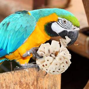 Handcrafted Eco-Friendly Soft Bird <strong>Toy</strong> Natural Shreddable Chew <strong>Wholesale</strong> Sola Ball <strong>Toy</strong> for <strong>Parrot</strong> Parrotlet Budgie &amp; Finch - Product Image 2