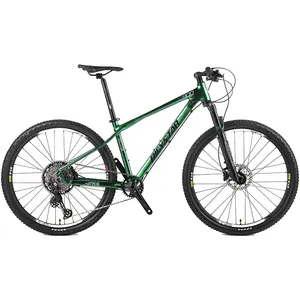 Mountainbike 10Kg Aluminium Berg 29 Inch Fiets Sri Lanka Prijs Voor Jongens 12 Jaar Berg