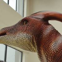 Costumes de dinosaures personnalisés, dinosaures animatroniques, costumes de dinosaures animatroniques 3D personnalisés CETDINO, vente chaude