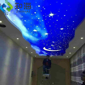 <span class=keywords><strong>Pannelli</strong></span> del <span class=keywords><strong>soffitto</strong></span> sospeso personalizzati con pellicola in Pvc retroilluminato traslucido bianco per la decorazione del <span class=keywords><strong>soffitto</strong></span> - Product Image 5