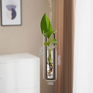 Vase créatif en fer et verre à bas prix avec corde de chanvre, suspension murale pour salon, conteneur pour plantes hydroponiques, décoration murale suspendue - Product Image 5