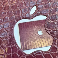 Étui pour ordinateur portable en cuir PU YUBO LEATHER pour modèles Macbook Pro 13 et Macbook Air 13 avec motif crocodile