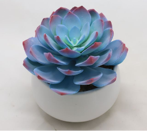 Piante Succulente Artificiali, Decorazioni con Piante Verdi, Mini Ornamenti <span class=keywords><strong>di</strong></span> <span class=keywords><strong>Cactus</strong></span>, Combinazione <span class=keywords><strong>di</strong></span> Vasi per Succulente, Bonsai - Product Image 6