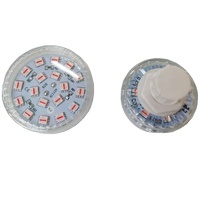 Cabochon Forain E14 3535 Automatique 60MM Préprogrammé RGB Pixel LED Point Lights pour Parc d'Attractions IP66 24V 110V 220V