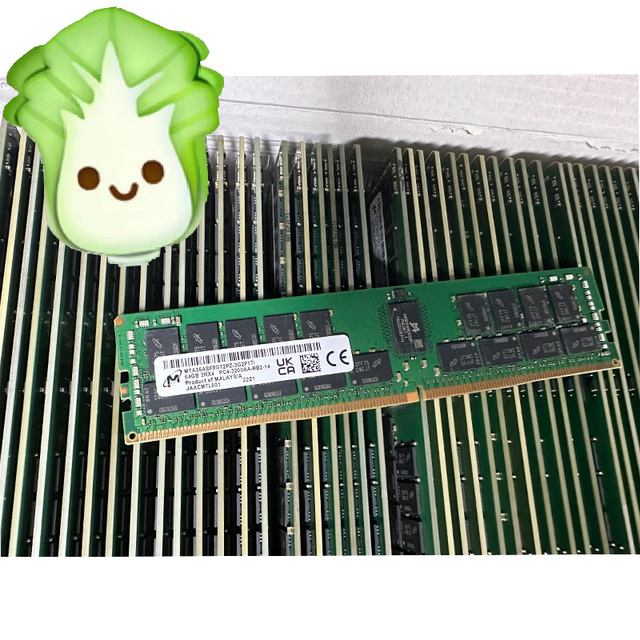 24GB DDR5 5600B RDIMM 1RX8 Dual Rank Module Memory Kit
