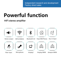 Amplificateur audio stéréo Hi-Fi WiFi professionnel en promotion 2x100W WiFi 2.4G & 5G AUX BT5.0 Récepteur optique pour système audio multiroom