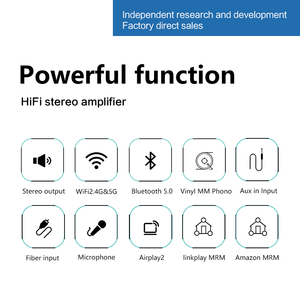 מגבר אודיו סטריאו Hi-Fi מקצועי, מבוקש מאוד, עם WiFi 2.4G ו-5G, AUX, BT5.0 ומקלט אופטי, למערכת שמע מרובת חדרים, 2x100W - Product Image 5