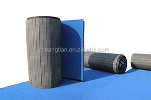 Flex-Roll Gymnastikmatten, faltbare Wushu- und Rhythmische Gymnastikmatten, Cheerleading-<span class=keywords><strong>Matten</strong></span> auf Rolle - Product Image 2